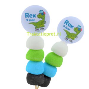 Coole dino traktatie prikker met snoep en naam en leeftijd. De stoerste jongens traktaties koop je online bij Traktatiepret